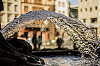 Mainz, wie es singt und lacht - aber auch freundlich, offen und im Sommer fast mit südeuropäischem Lebensgefühl.. Foto eines Studierenden von einem Brunnen in Mainz