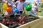 Foto von einem Hochbeet in einer Campus-Kita in Mainz, vier bunte Gießkannen und Kinderhände sind zu sehennd eine Erzieherin zu sehen