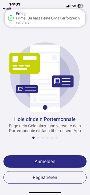 Validierung der E-Mail Adresse validiert Screenshot Validierung der E-Mail Adresse validiert